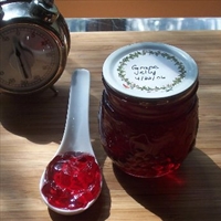 Quick Grape Jelly