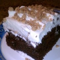 Reduced Fat And Calorie Turtle Cake (5 Pts)