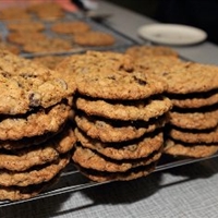 Regal Oatmeal Chocolate Chip Cookies Regal Oatmeal Chocolate Chip Cookies