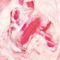 Rhubarb fool Rhubarb fool