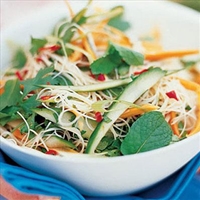 Vietnamese Rice Noodle Salad