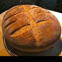 San Francisco Sourdough French Bread