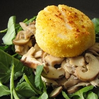 Seared Scallops on Braised Wild Mushrooms