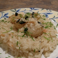 Seared Scallops on Shrimp and Truffle Risotto