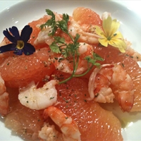 Shrimp Salad with Avocado and Grapefruit