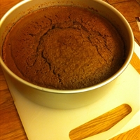 Simple Chocolate Sponge Cake Simple Chocolate Sponge Cake
