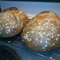 Sourdough Oat Bread Sourdough Oat Bread