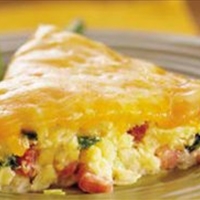 Slow Cooker Western Omelet Casserole 