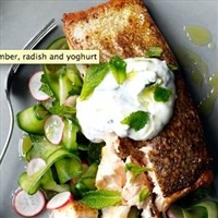 Spiced salmon with cucumber, radish and yoghurt