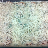 Spicy Avocado Chicken Enchiladas