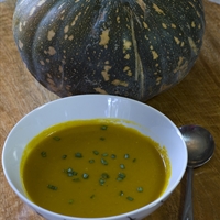 Spicy Pumpkin and Carrot Soup