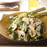 Spinach Salad with Creme de Brie Dressing