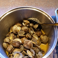 Steamed Clams Steamed Clams