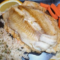 Stuffed Sole (Mf)