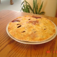 Sugar Free Blueberry Pie