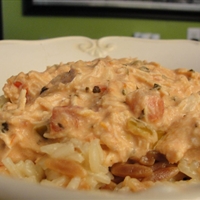 Susan's Slow Cooker Salsa Chicken
