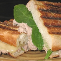 Tuna Melt Panino