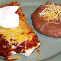 Turkey Enchiladas with sauce