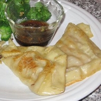 Turkey Pot Stickers