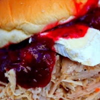 Turkey to Go pulled turkey