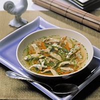 Warming Chicken and Asian Vegetable Soup