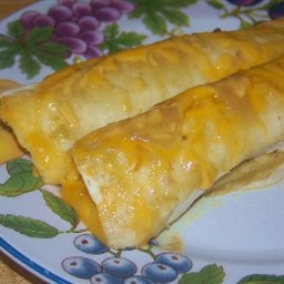 Creamy Chicken Enchiladas