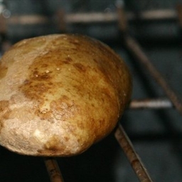 Perfect Baked Potato Perfect Baked Potato