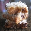 7 Layer Bar