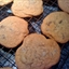 Allison's Malted Chocolate Chip Cookies Allison's Malted Chocolate Chip Cookies
