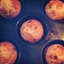 Apple Cinnamon Muffins Apple Cinnamon Muffins