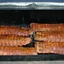 Baby Back Ribs
