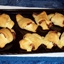 Bacon and Cheese Crescent Roll-ups