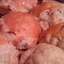 Bacon and Cheese Sourdough Muffins