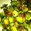 Balsamic Glazed Brussels Sprouts with Pancetta Balsamic Glazed Brussels Sprouts with Pancetta