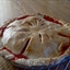Basic Flaky Pie Crust Basic Flaky Pie Crust
