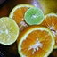 Bcs Mexican Citrus Marinade