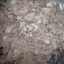 Bill Clintons Tuna Salad Sandwich