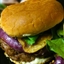 Bison Burger Bison Burger