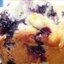 Blueberry Cream Muffins Blueberry Cream Muffins