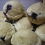 Blueberry Muffins