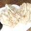 Bohemian Bread Dumplings