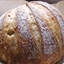 Boule - Five Minutes a Day for Fresh-Baked Bread Boule - Five Minutes a Day for Fresh-Baked Bread