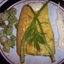 Bourride of Mahi Mahi with Garlic Mayonnaise