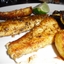 Bronzed Talapia Bronzed Talapia