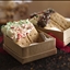 Candy-Topped Graham Cracker Cookie Squares Candy-Topped Graham Cracker Cookie Squares
