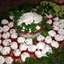 Cherry Tomatoes Filled with Basil Cream Cheese