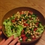 Chick Pea Salad Chick Pea Salad