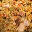 Chicken and Rice Casserole with Summer Vegetables