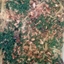 Chicken Tetrazzini