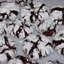 Chocolate Crinkles